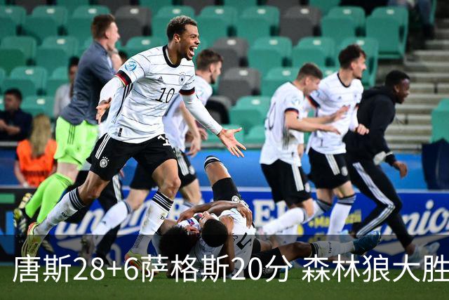 唐斯28+6萨格斯20分 森林狼大胜终结魔术连胜