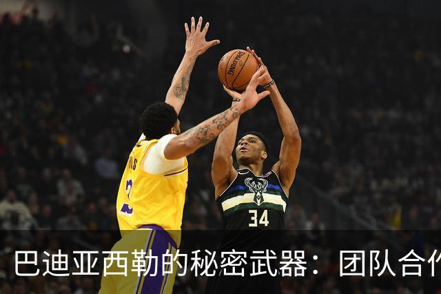 巴迪亚西勒的秘密武器：团队合作小分队