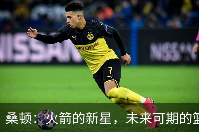 桑顿：火箭的新星，未来可期的篮球小天才